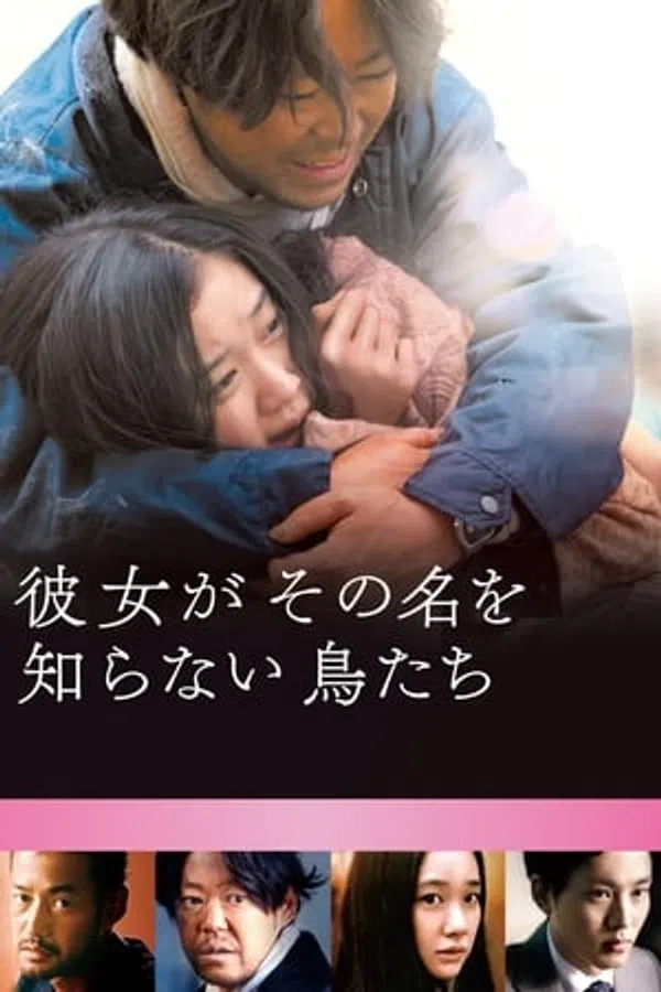 Poster phim Loài Chim Vô Danh trên Xem Phim Fun