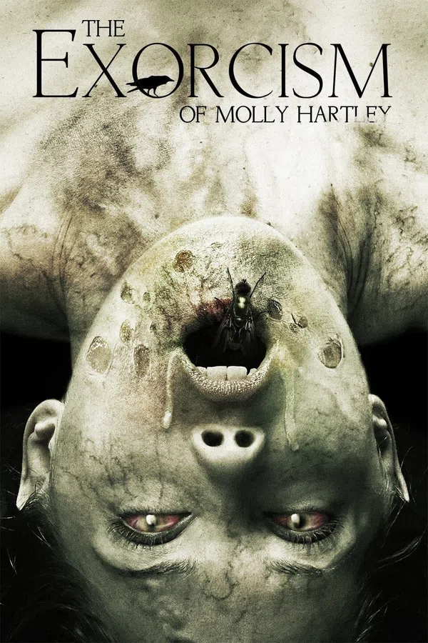 Poster phim Nỗi Ám Ảnh Của Molly trên Xem Phim Fun
